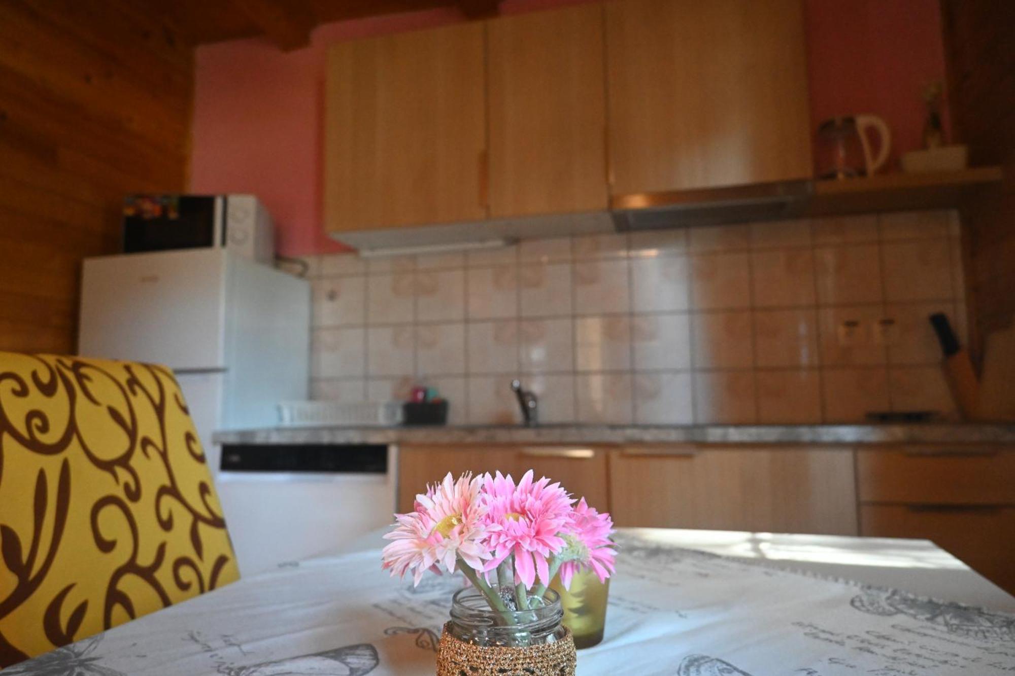 Apartments Brunarica Моравске-Топлице Экстерьер фото